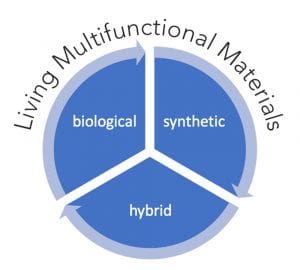 Living Multifunctional Materials, biological, synthetic, hybrid